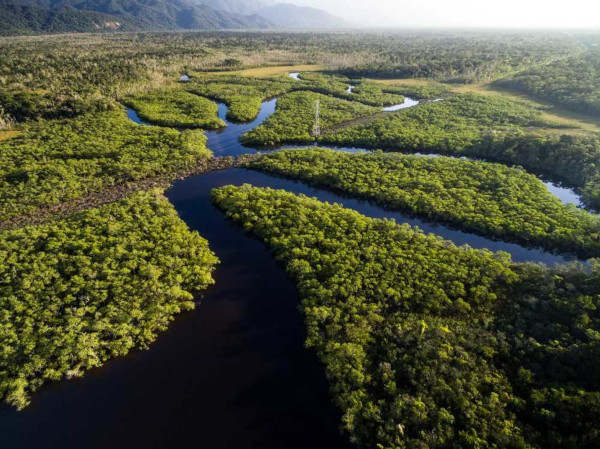 Amazônia